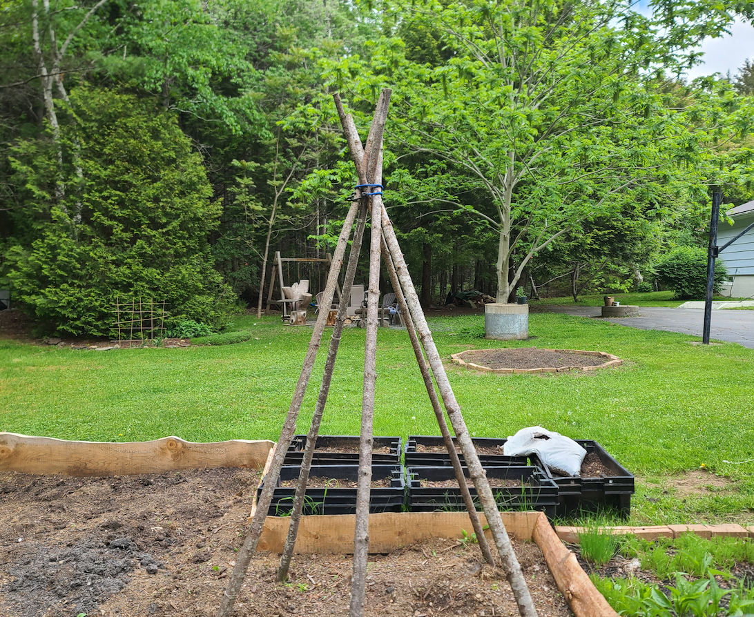 All-in-One Vine Teepee Variety Pack - SeedsNow.com - *Variety Packs