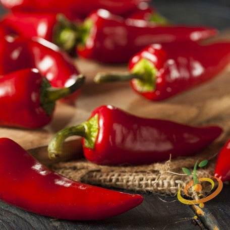 Pepper (Hot) - Fresno Chili π₯π₯ - SeedsNow.com