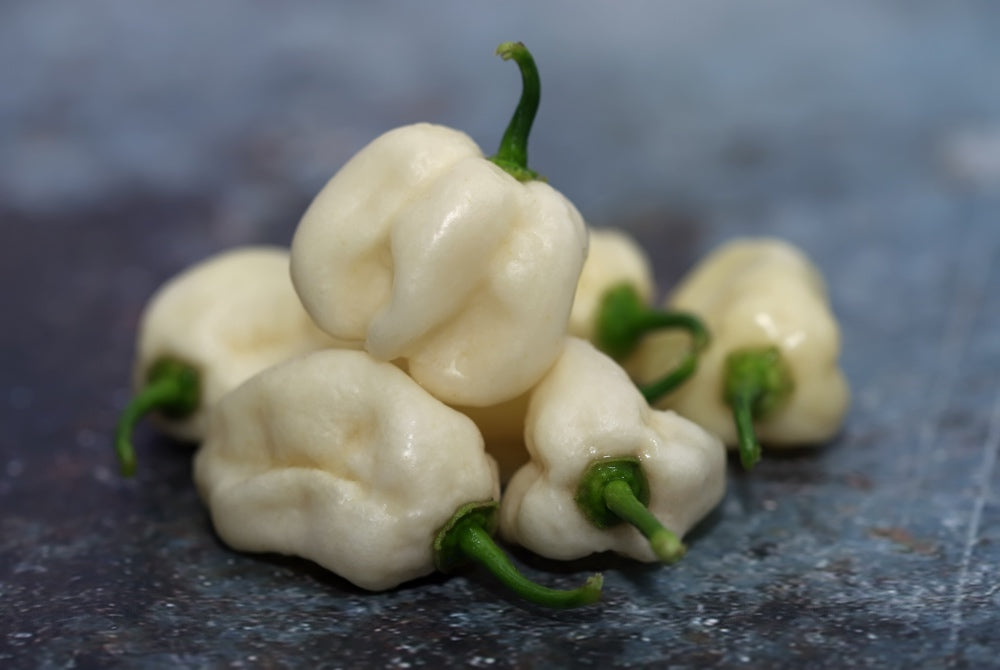 Pepper (Hot) - Habanero, White š„š„š„š„ - SeedsNow.com