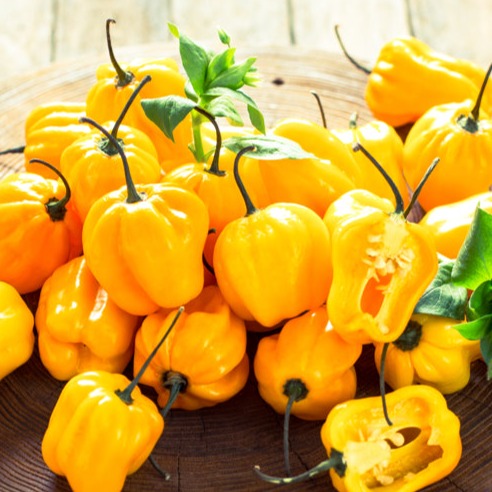 Pepper (Hot) - Habanero, Lemon š„š„š„š„ - SeedsNow.com