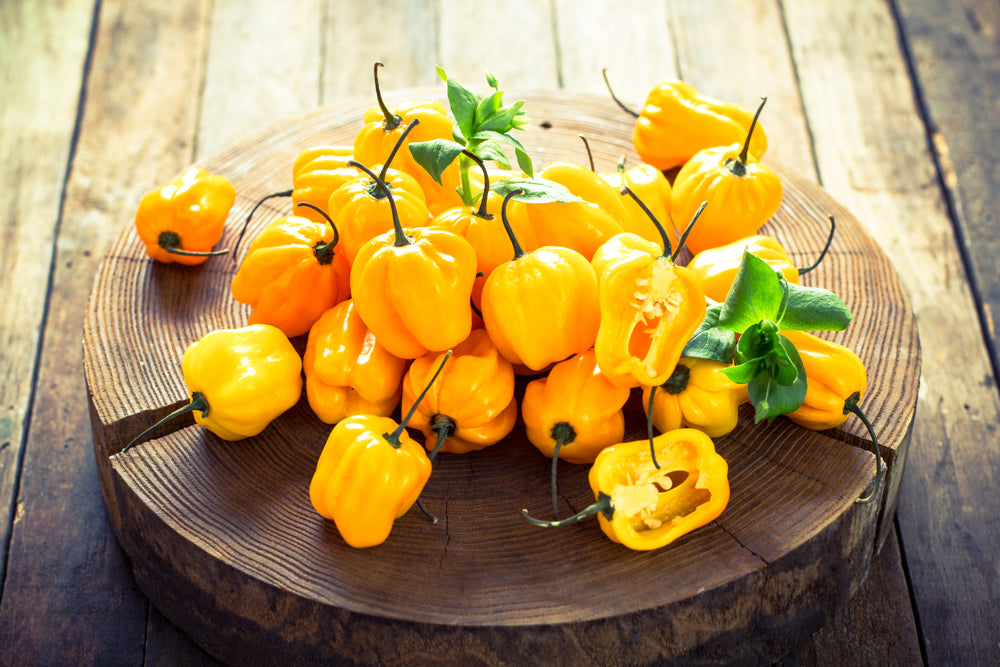 Pepper (Hot) - Habanero, Lemon π₯π₯π₯π₯ - SeedsNow.com