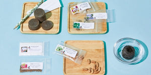 The Seed Club (BASIC PLAN)