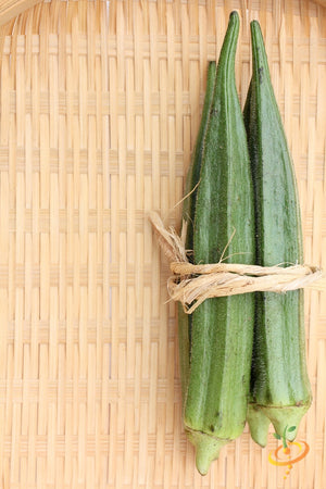 Okra - Dwarf Long Pod.