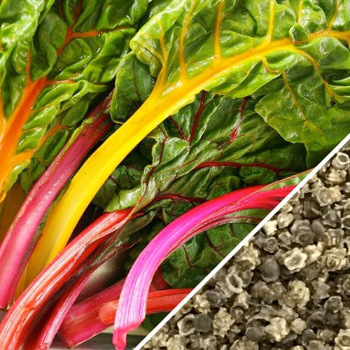 Swiss Chard - Rainbow Mix.