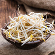 Fresh mung bean sprouts from SeedsNow, showing vibrant green mung bean microgreens on a clean surface.